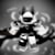 Slax M