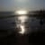Ebbe
