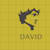 david