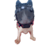 Houdini