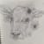 artsyrandom
