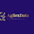 AgilexData