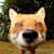 Foxelnis