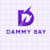 Dammy B