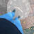 Alen.k