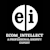 Ecom Intellect