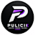 Pulicik
