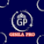 Gisila P