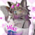 henzfurzzz