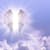 Divinne S