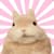 Bunni
