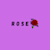 Rose N