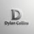 Dylan C