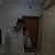 tarek