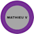 Matthew V