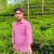 Parvez A