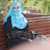 Habiba S