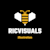 Ricvisuals