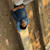 Hanish