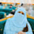Alisha Excel