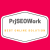 Prjseowork