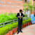 Mohd K
