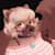 Rynn