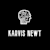 Karvis N