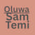 Temi S