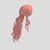 Luffy Leo