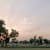 Avinash Bhamu