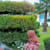 Afia zulfiqar 