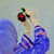 Eva Yunus