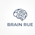 Brain