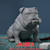 prinjames