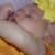 Ayesha khan