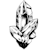 Timotheus U