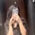 Priyanshi