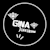 GinaExpert
