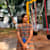 Dharshu