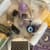Intuition-Tarot