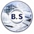 B. S