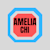 Amelia Expert