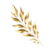 Arnora