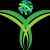 Yew Technology