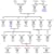 GenealogyVault