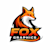 Fox Graphics