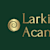 Larki