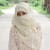 nusrat_dsn