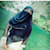 Rabiya A